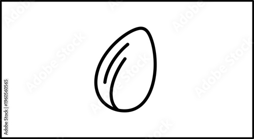 Almond icon, simple line drawing of a single almond nut on a white background