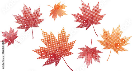 Autumn maple leaves featuring dew drops are scattered across the white background, symbolizing the changing season.