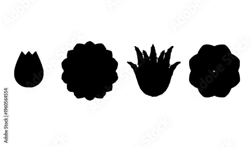 Abstract flower sequence cutout wallpaper with evolving floral shapes vector