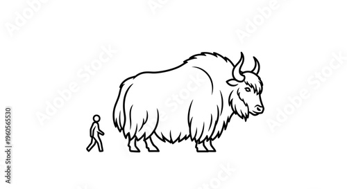 Illustrative line drawing comparing the vast scale of a shaggy horned animal with a tiny walking