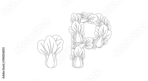 Minimalist line art illustration featuring a fresh bok choy vegetable and the letter P creatively