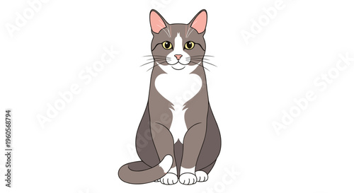 Gray and White Cat Sitting.