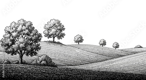 Detailed monochromatic illustration of a picturesque rural landscape, emphasizing the natural beauty of rolling hills, lush fields, and prominent trees