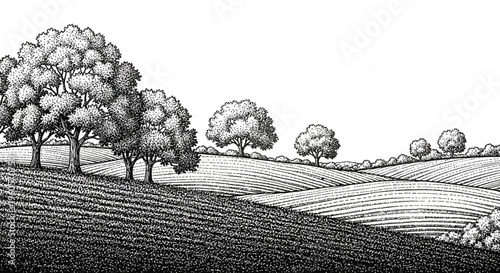 A serene landscape of rolling hills and trees in a detailed monochrome illustration, depicting a rural countryside scene