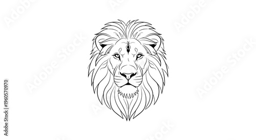 Line Art Lion Head Illustration.