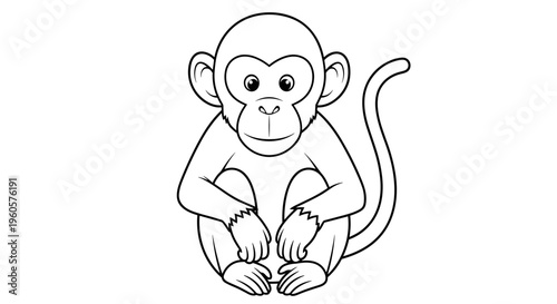 Monkey Sitting with Curved Tail.