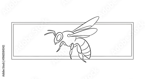 Detailed line art illustration of a honeybee with delicate wings captured within a clean geometric