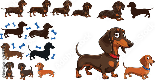 Dachshund dog collection with different poses silhouettes and cute cartoon puppy characters vector illustration set