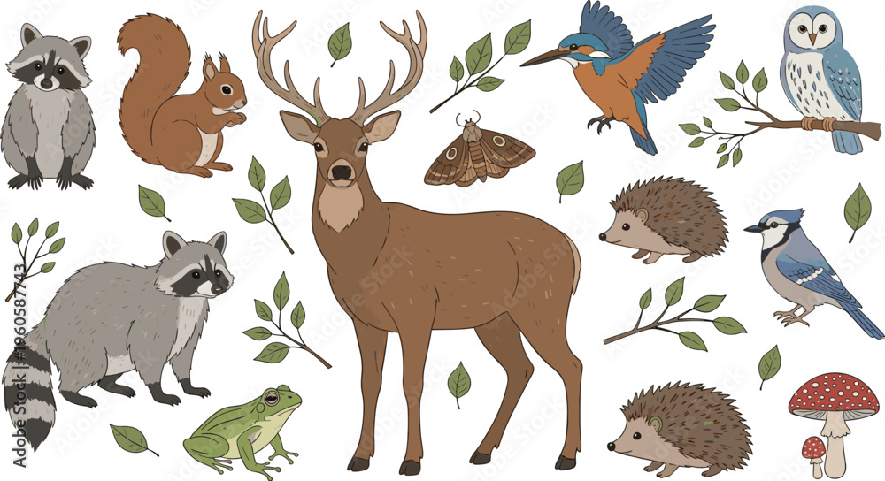 Fototapeta premium Woodland animals set with deer raccoon squirrel owl fox and forest creatures detailed vector illustration collection for wildlife and nature design