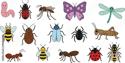 Insects and bugs collection with butterfly bee ant spider mosquito and beetle colorful vector illustration set isolated