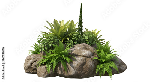 Rock formation with various green plants and ferns