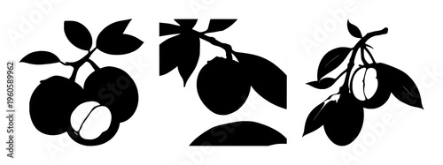 Mangosteen fruit set with solid black silhouette of whole mangosteen featuring tropical, exotic, smooth curves with black silhouette and white background