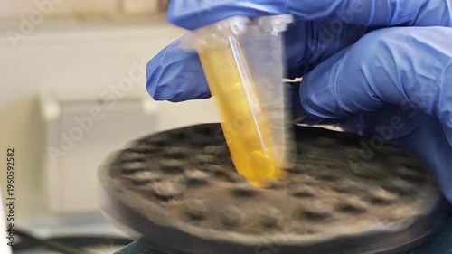 18 March 2026, Brussels, Belgium. Mixing liquid samples in Eppendorf tubes using vortex mixer in laboratory