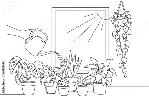 plants on a windowsill with watering can