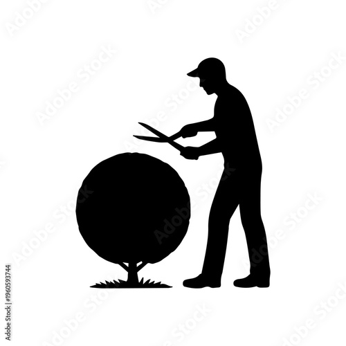 Gardener pruning a round bush with hedge shears
