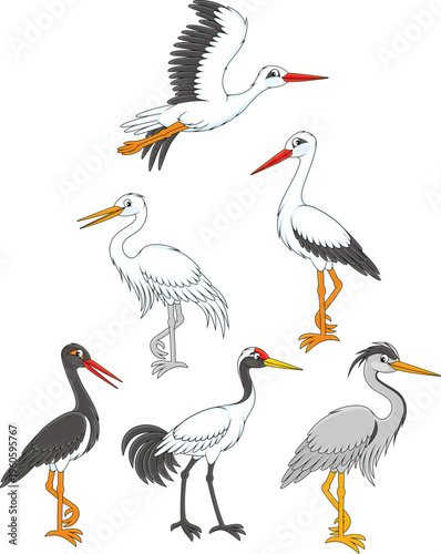 Vector cartoon set of storks, cranes and herons