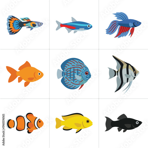 Colorful Fish Species Variety.