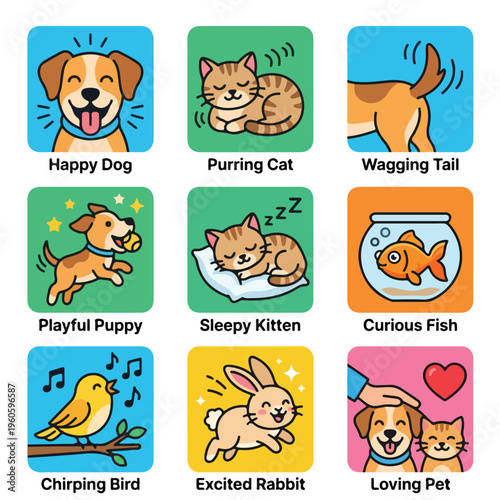 Colorful Pets And Animals.