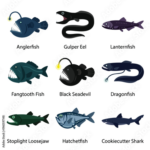 Deep Sea Fish Species Collection.