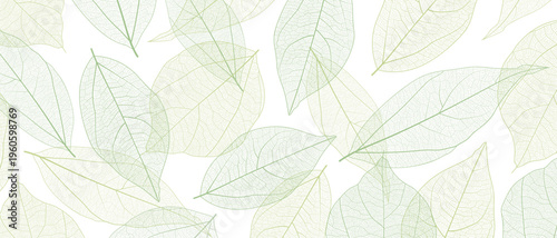 Leaf vein skeleton texture abstract background with close up plant leaf cells ornament texture pattern. Black and white organic macro linear background of nature leaf foliage vector illustration.