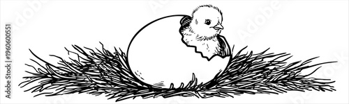 Hand-drawn illustration of newborn chick emerging from cracked eggshell in straw nest for Easter and new beginnings concepts