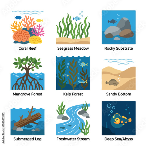 Underwater Ocean Floor Ecosystem Habitats.