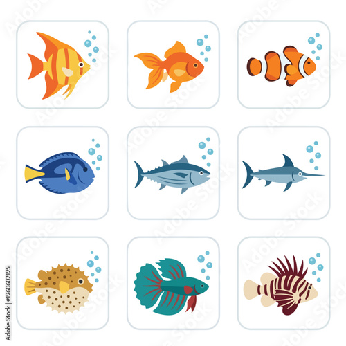 Variety of Colorful Fish Species.