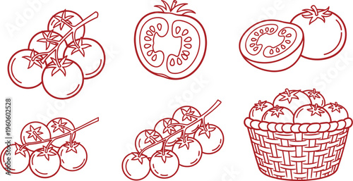 Tomato icon silhouette collection, botanical vector artwork set, fresh produce design graphic, vegetable illustration symbol, flat vector illustration