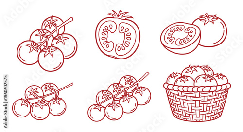 Tomato icon silhouette collection, botanical vector artwork set, fresh produce design graphic, vegetable illustration symbol, flat vector illustration