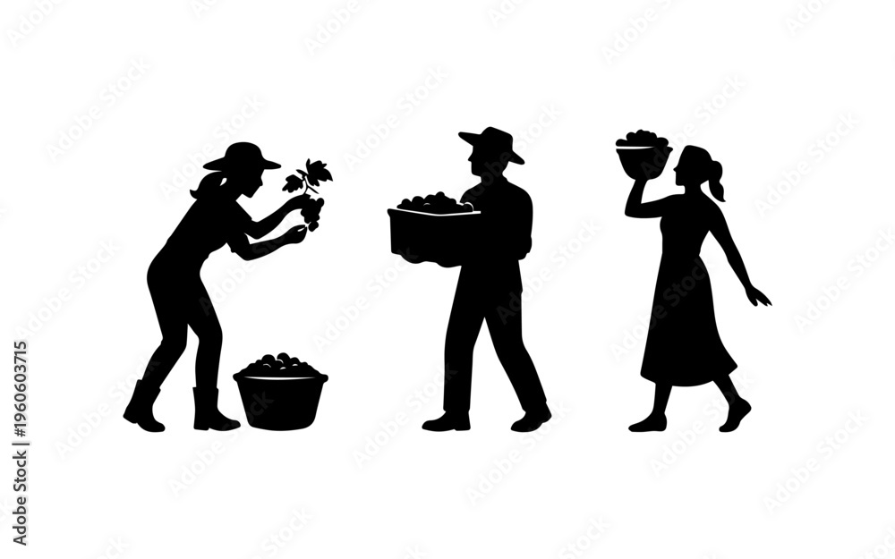 Ταπετσαρία Farm workers harvesting grapes carrying a full basket