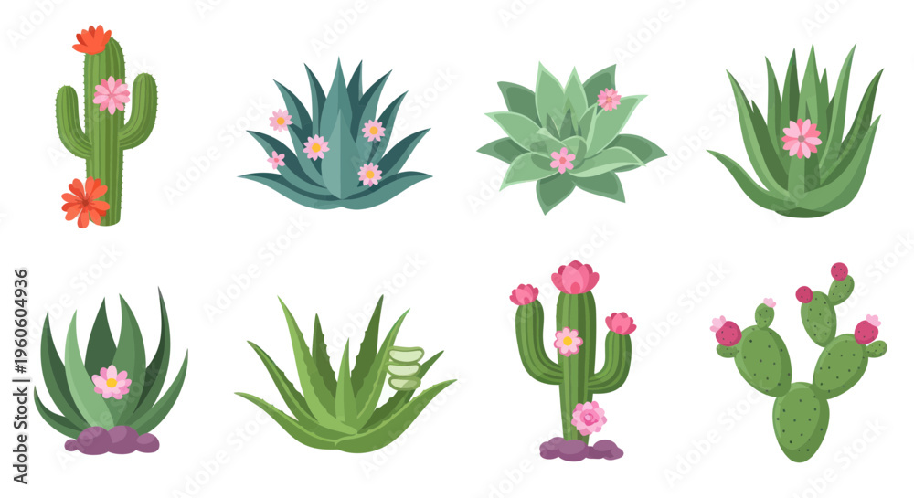 Φωτογραφία Desert Cactus and Succulent Plants Collection, Floral Vector Art