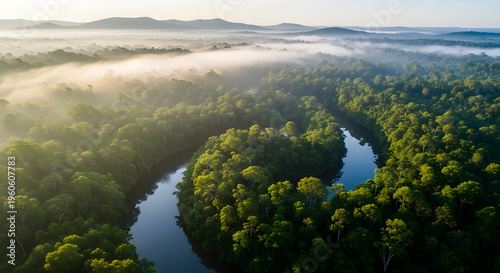 Misty Sunrise Over Winding River in Dense Green Rainforest