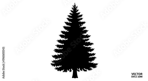 Black Silhouette of a Coniferous Evergreen Tree on White Background