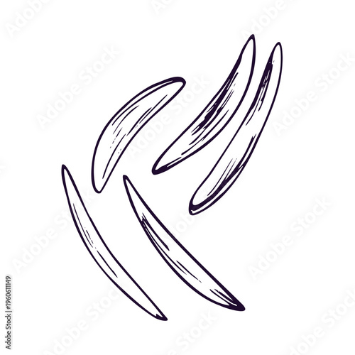 Cucumber slices isolated on white background. Hand drawn ink sketch of fresh vegetable piece for cooking menu. Vegetable culinary element in engraving graphic line art style illustration.