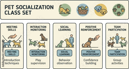 Set of five vertical panels depicts dog socialization training covering meeting skills, interaction monitoring, social learning, positive reinforcement, and team participation.