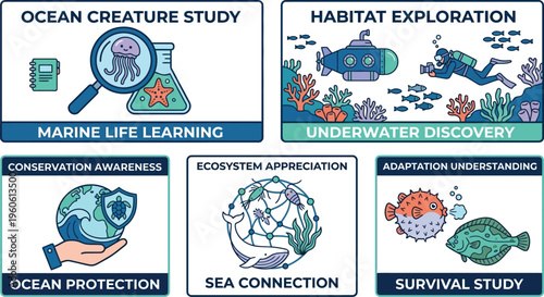 A collection of five distinct illustrated concepts related to ocean science, conservation, and marine life study are displayed on a white background.