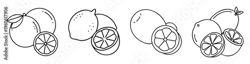 Black and white vector illustration of lemons and lemon slices line art