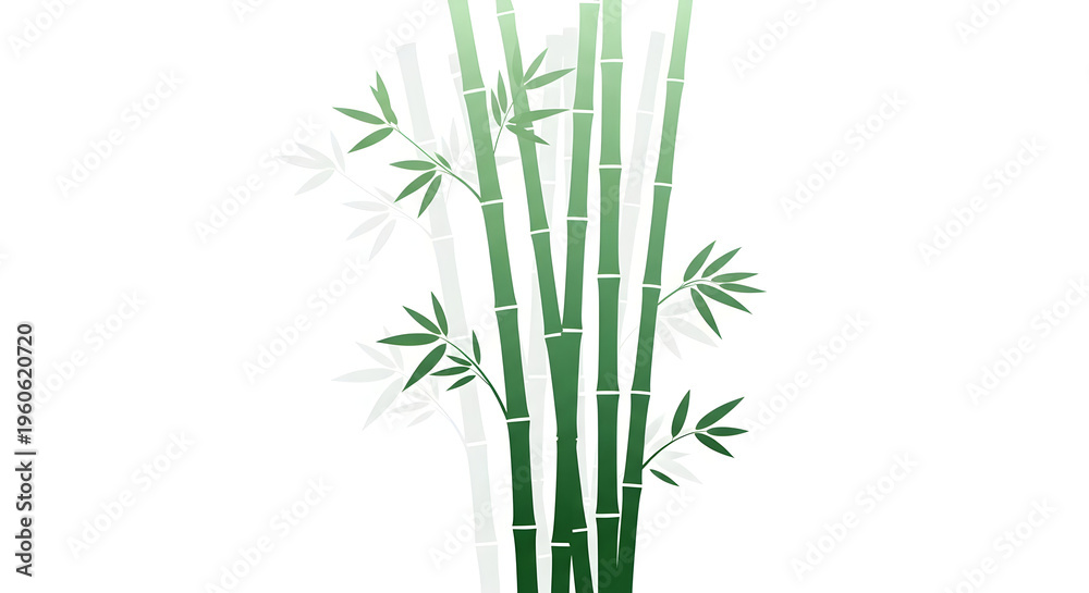 Fototapeta premium Vibrant green bamboo stalks with leaves on white background