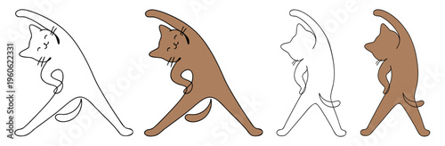Cat in Konasana standing Angle yoga pose, front and back views,  colorful and transparent design, vector set