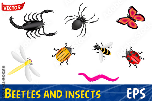 set icons beetles and insects colors vector illustration