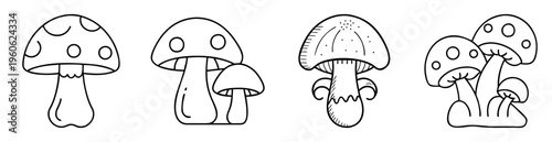 Line Art Illustration of Four Different Mushroom Clusters in Black and White