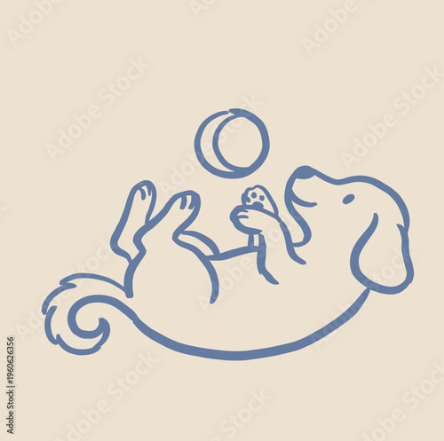 A happy puppy lies on its back, playing with a small round ball suspended above its paws.