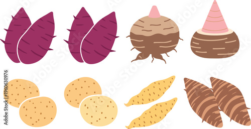 Collection of illustrated root vegetables including sweet potatoes, taro, yams, and potatoes, showcasing diverse colors, textures, and shapes for culinary, botanical, and educational design purposes