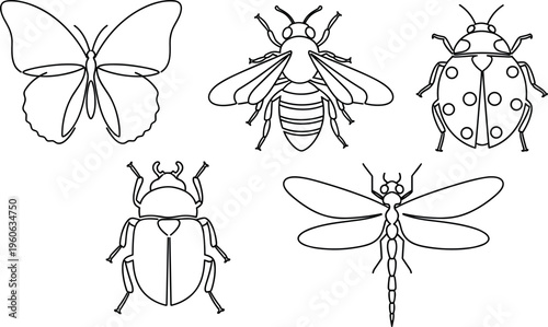 Insect outline vector set featuring butterfly bee ladybug beetle and dragonfly minimal line art illustration collection