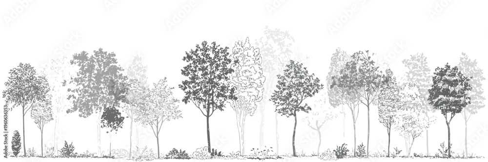 Φωτογραφία Architectural CAD Tree Line Drawing Set, Minimal Style Wetland Forest Section Ou