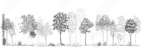 Architectural CAD Tree Line Drawing Set, Minimal Style Wetland Forest Section Outline, Side View Landscape Design Elements, Vector Illustration with Separate Editable Elements