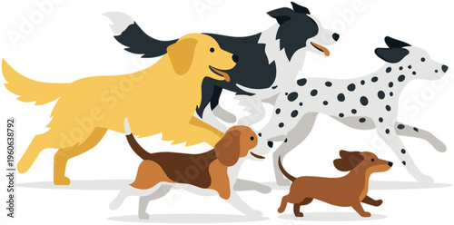 Four dogs and one dalmatian play energetically outside together freely