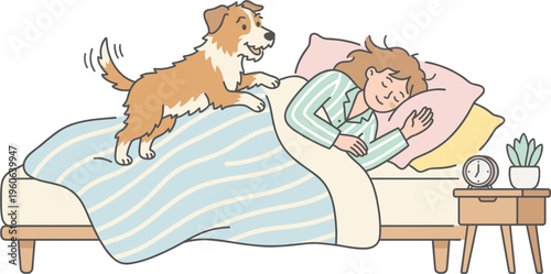 Woman sleeping peacefully in bed as dog jumps on top of her