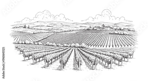 Black and white of rolling vineyard hills with distant village and cloudy sky landscape