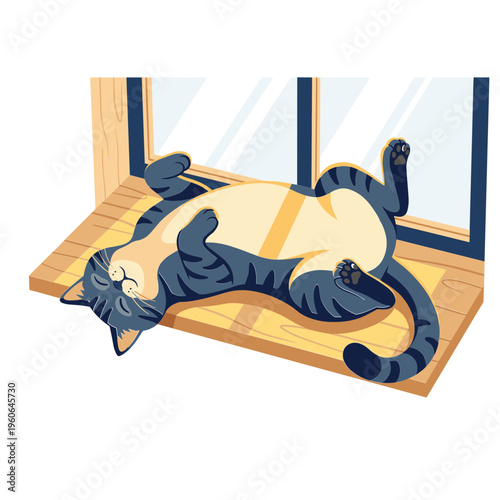 A cat lies on its back on a mat by a sunny window.